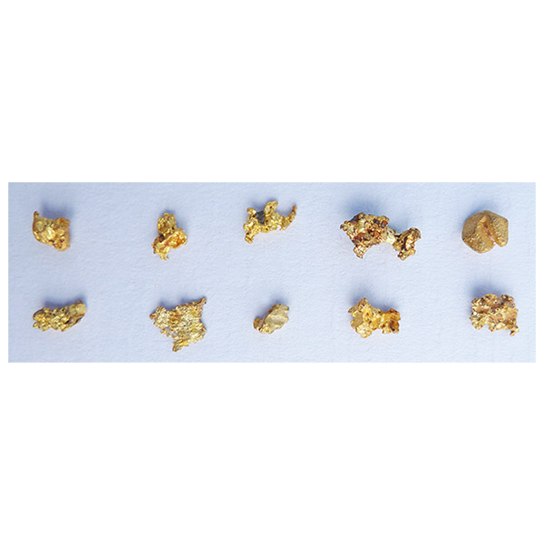 1.60g of small gold nuggets from the  Honey Camp Goldfield Issano Mazaruni District, Guyana