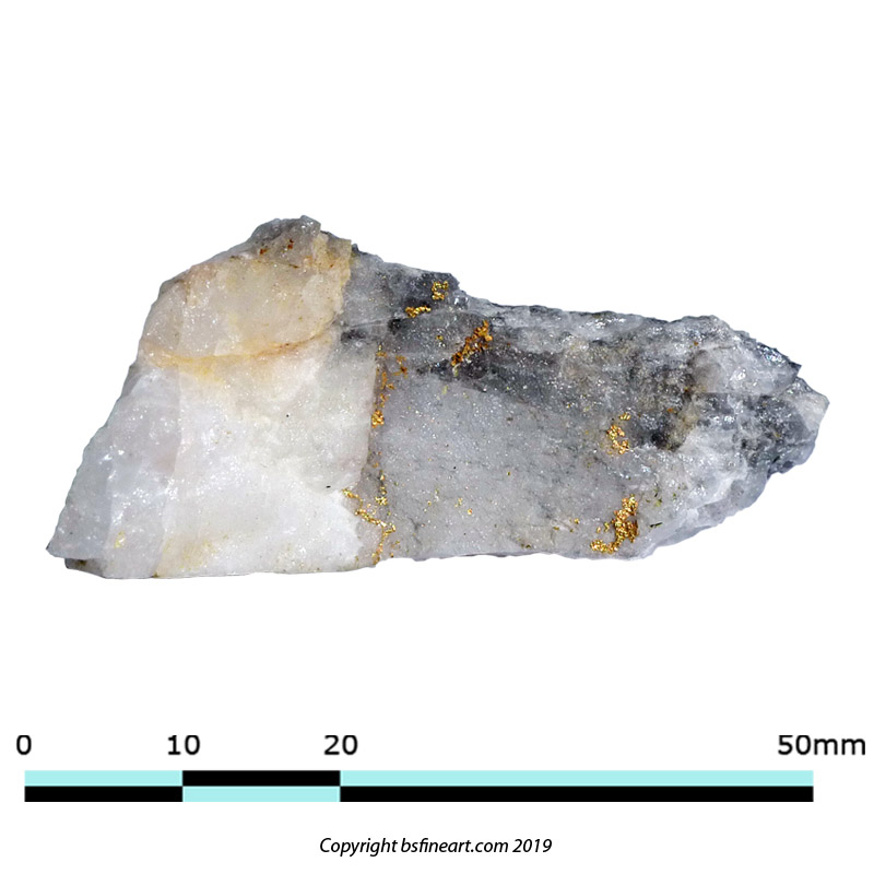 Gold in quartz vein from the Hick's Gold Mine, Issano Mazaruni District, Guyana