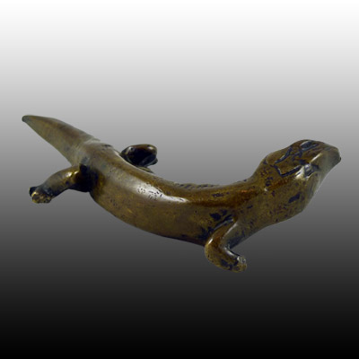 Toraja bronze salamander