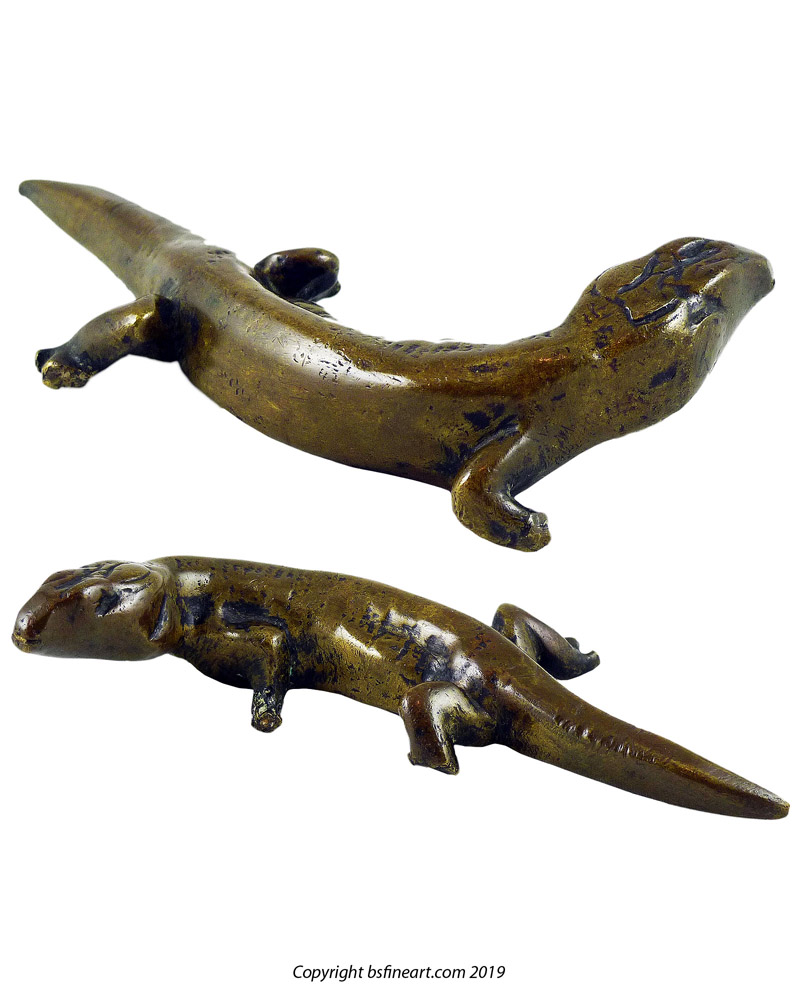 Toraja bronze salamander