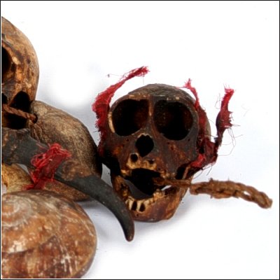 Dayak ritual garland with tusks shells and monkey skulls