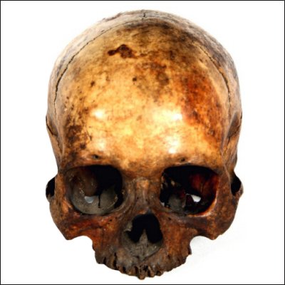 Dayak human trophy skull