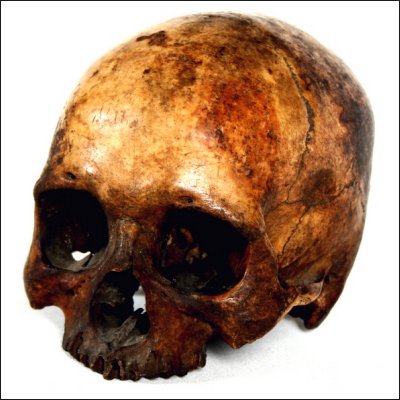 Dayak human trophy skull