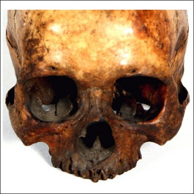 Dayak human trophy skull